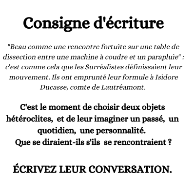 atelier d'écriture consigne lettronome