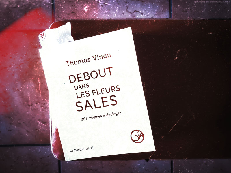 Debout dans les fleurs sales de Thomas Vinau